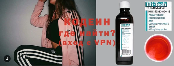 дурь Арсеньев